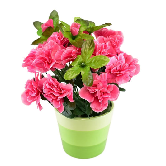 Azalka růžová v keramickém květináči 25×25 cm