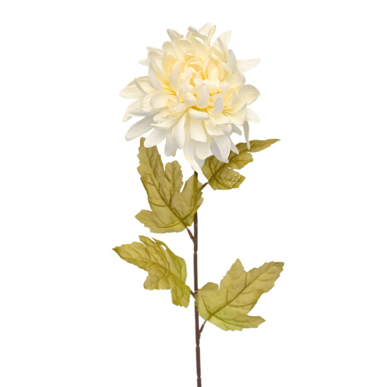 Kytice podzimních krémových chryzantém 6 ks, 70 cm