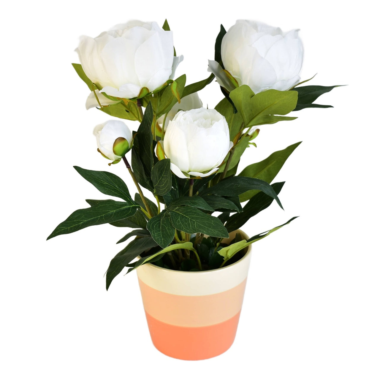 Pivoňka bílá v keramickém květináči Ø30/38 cm