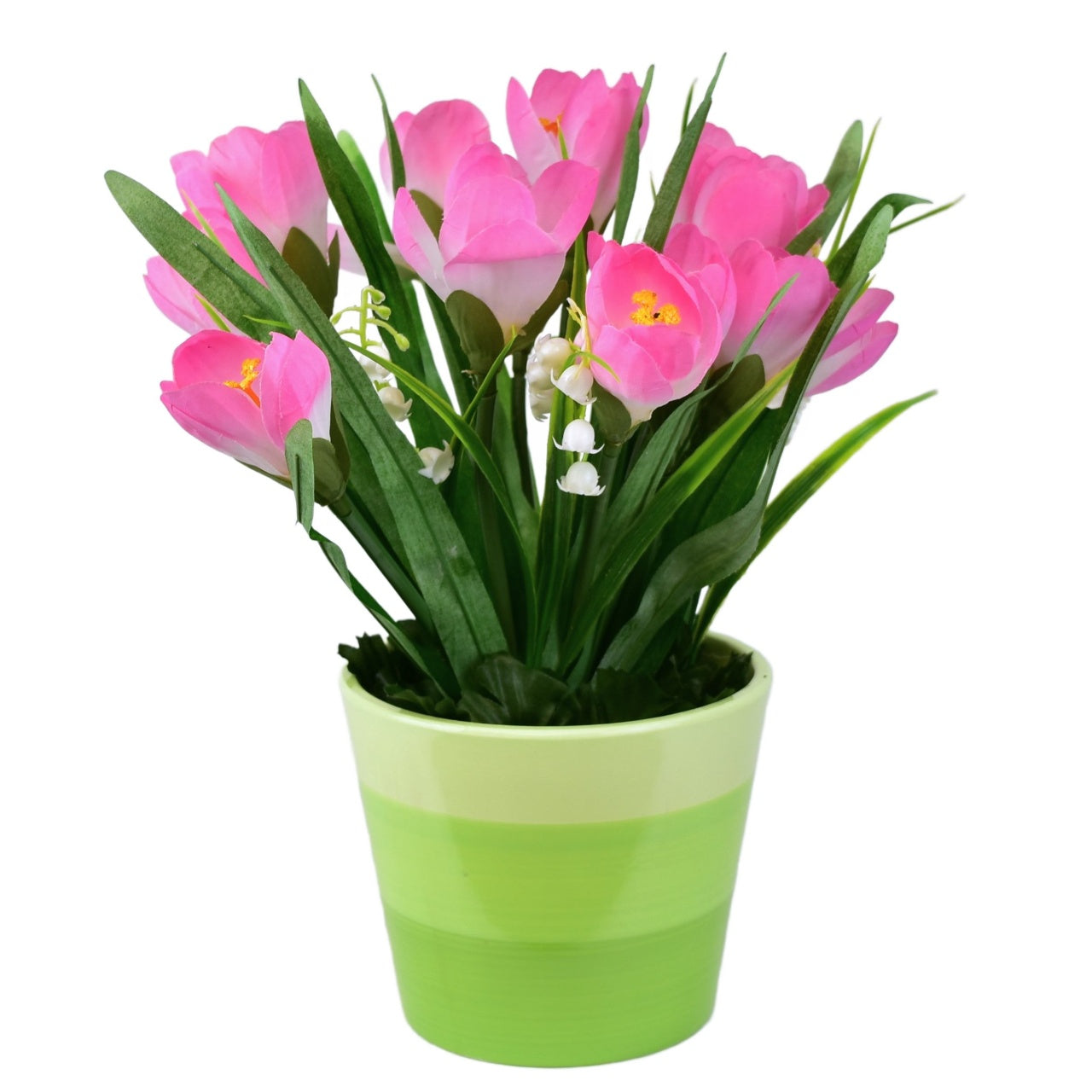 Krokus růžový v keramickém květináči 27×25 cm