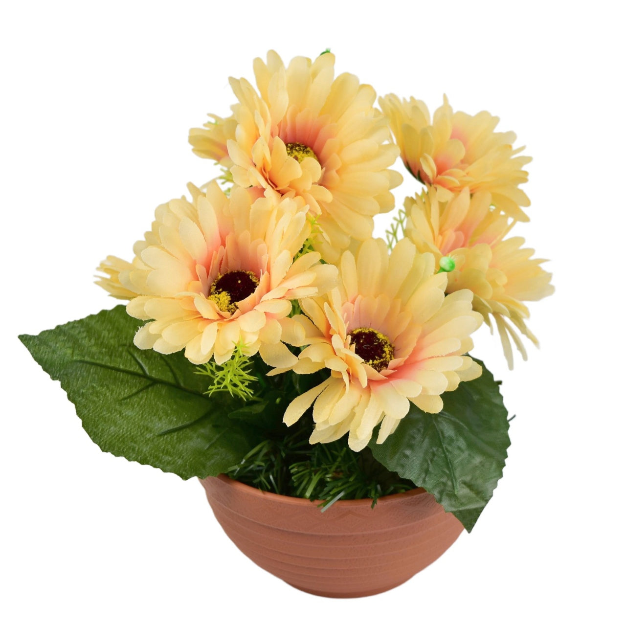 Gerbery světle oranžové 7 květů v terakotové misce Ø22/ 24 cm