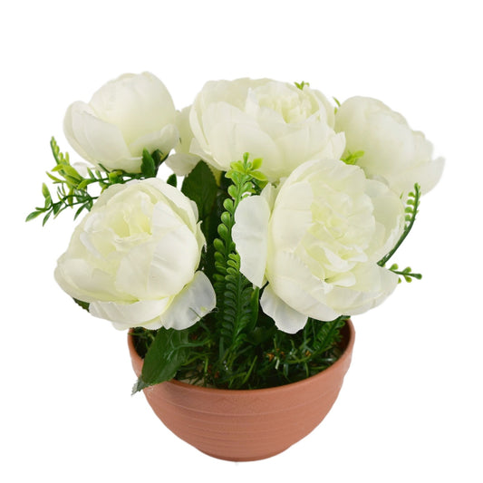 Pivoňky bílé 6 květů v terakotové misce Ø26/26 cm