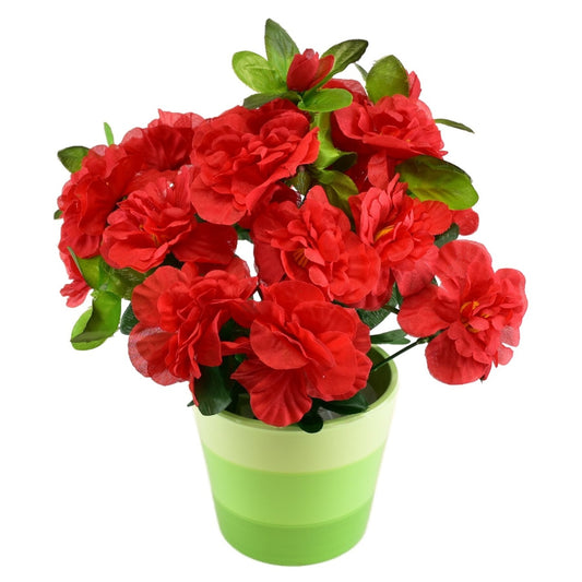 Azalka červená v keramickém květináči 25×25 cm