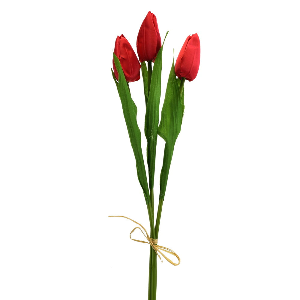 Svazek 3 ks tulipánů červené 50 cm