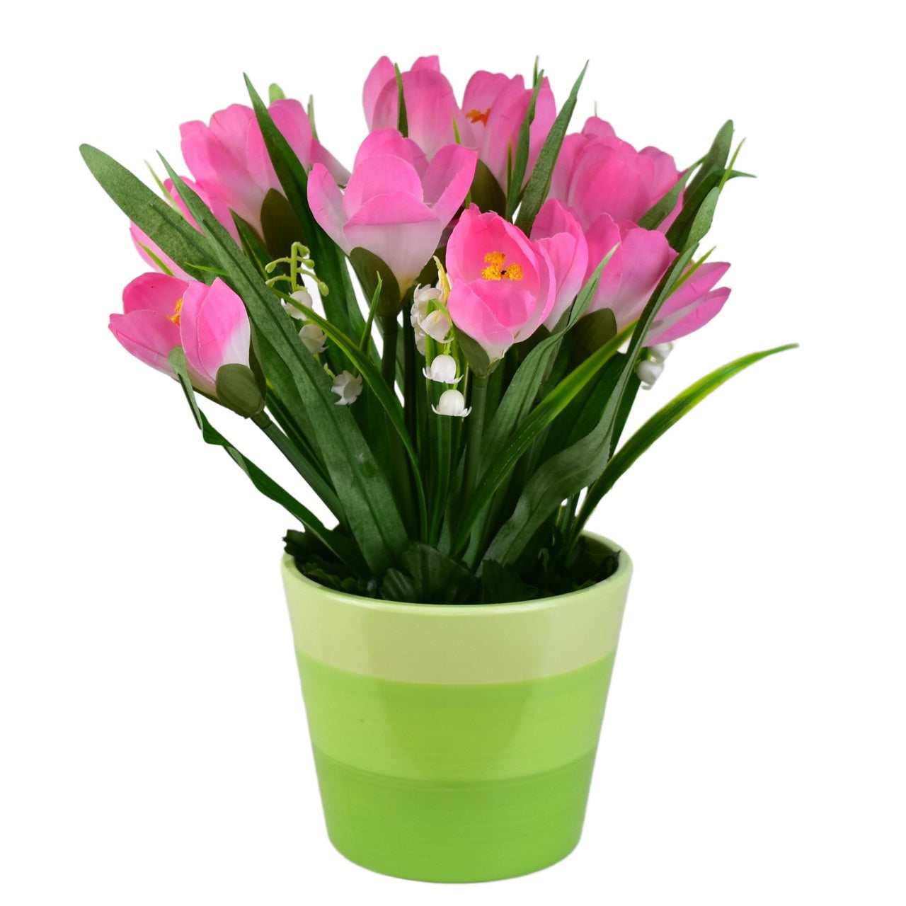 Krokus růžový v keramickém květináči 27×25 cm