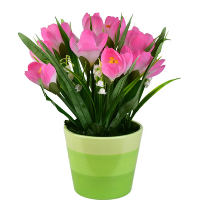 Krokus růžový v keramickém květináči 27×25 cm