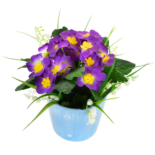 Primule fialová v keramickém květináči 20×19 cm