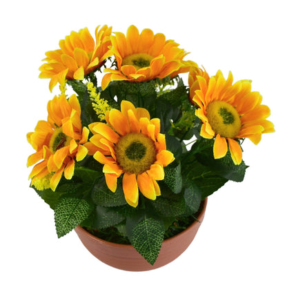 Sluněčníce 7 květů v terakotové misce Ø24/26 cm