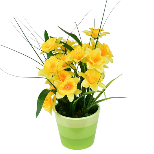 Narcisky v keramickém květináči 30×25 cm