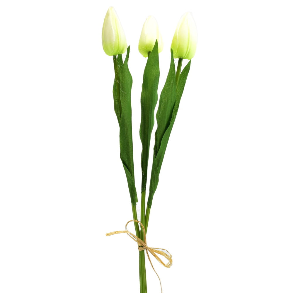Svazek 3 ks tulipánů krémové 50 cm
