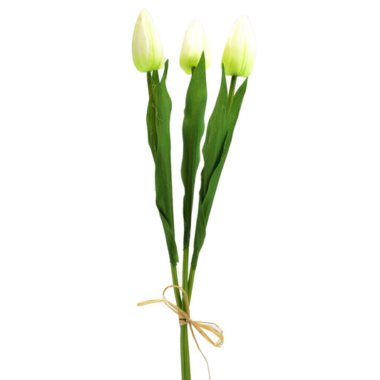 Svazek 3 ks tulipánů krémové 50 cm
