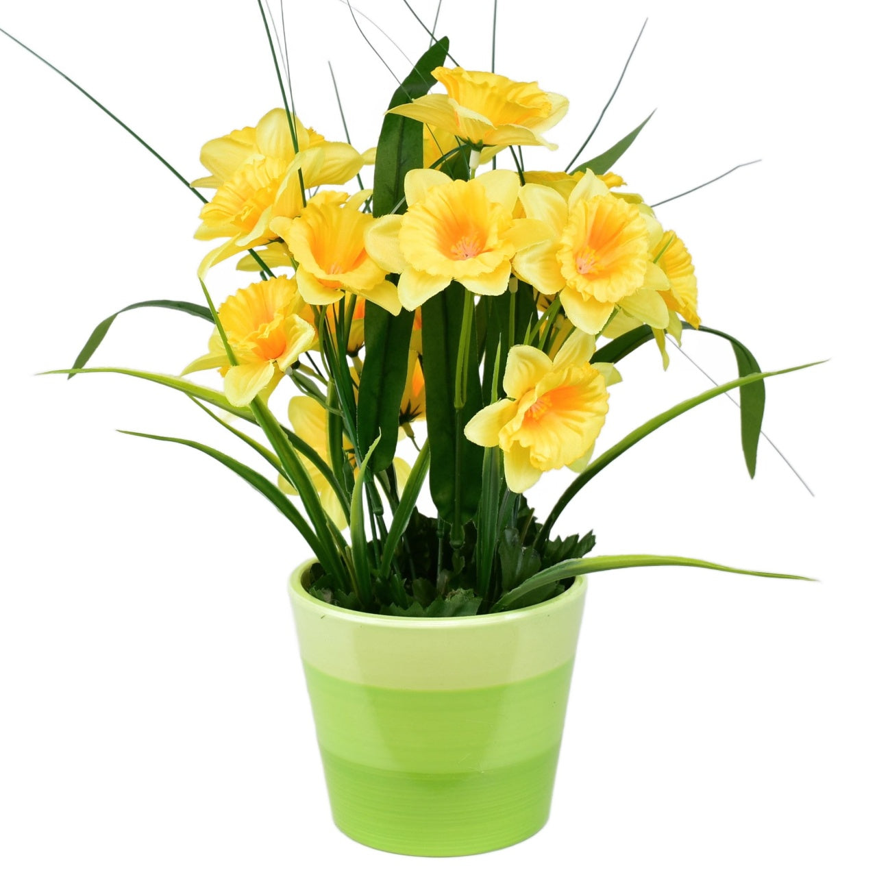 Narcisky v keramickém květináči 30×25 cm