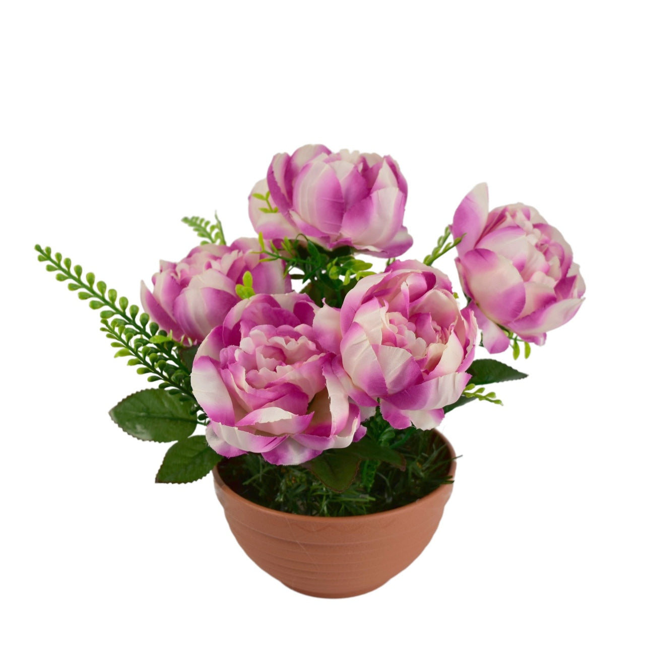 Pivoňky fialové 6 květů v terakotové misce Ø26/26 cm