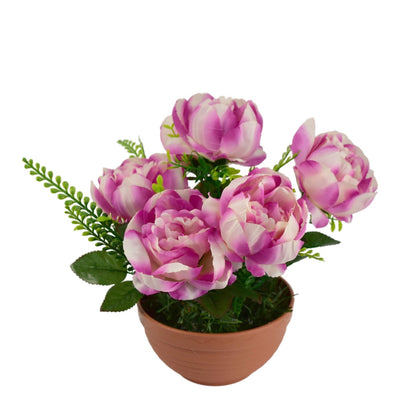 Pivoňky fialové 6 květů v terakotové misce Ø26/26 cm