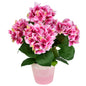 Hortenzie růžová 5 květů v keramickém květináči 40x30 cm