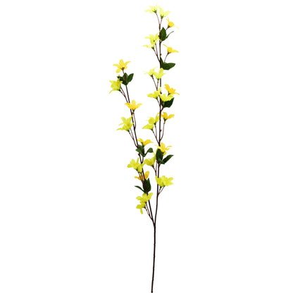 Forsythia - zlatý déšť 70 cm