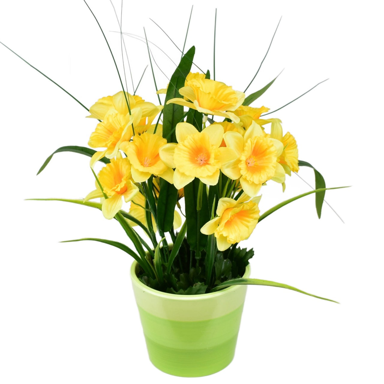 Narcisky v keramickém květináči 30×25 cm