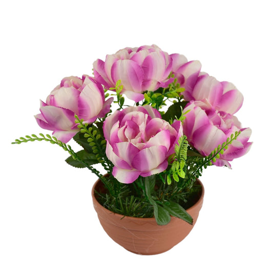 Pivoňky fialové 6 květů v terakotové misce Ø26/26 cm