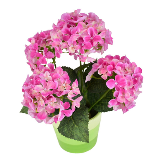 Hortenzie růžová 5 květů v keramickém květináči 33x27 cm