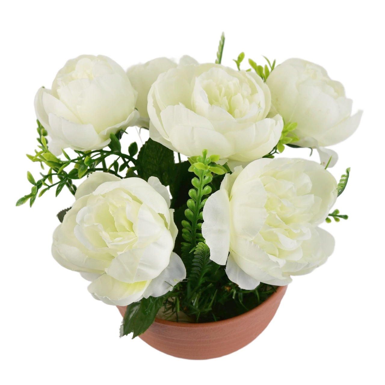 Pivoňky bílé 6 květů v terakotové misce Ø26/26 cm