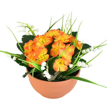 Primulky oranžové v terakotové misce Ø23/ 20 cm