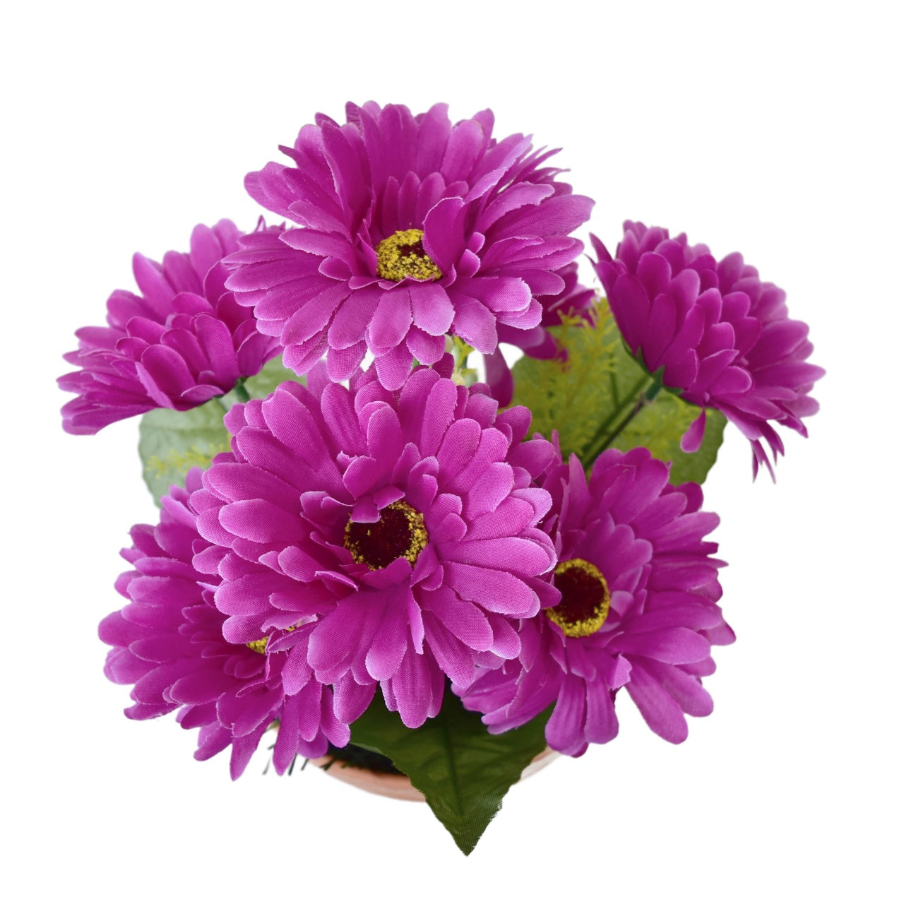 Gerbery fialové 7 květů v terakotové misce Ø22/ 24 cm