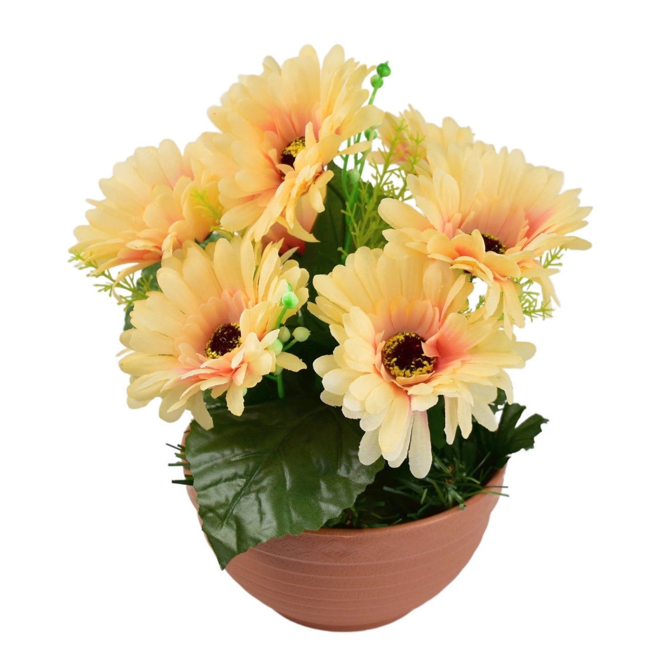 Gerbery světle oranžové 7 květů v terakotové misce Ø22/ 24 cm