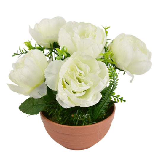 Pivoňky bílé 6 květů v terakotové misce Ø26/26 cm