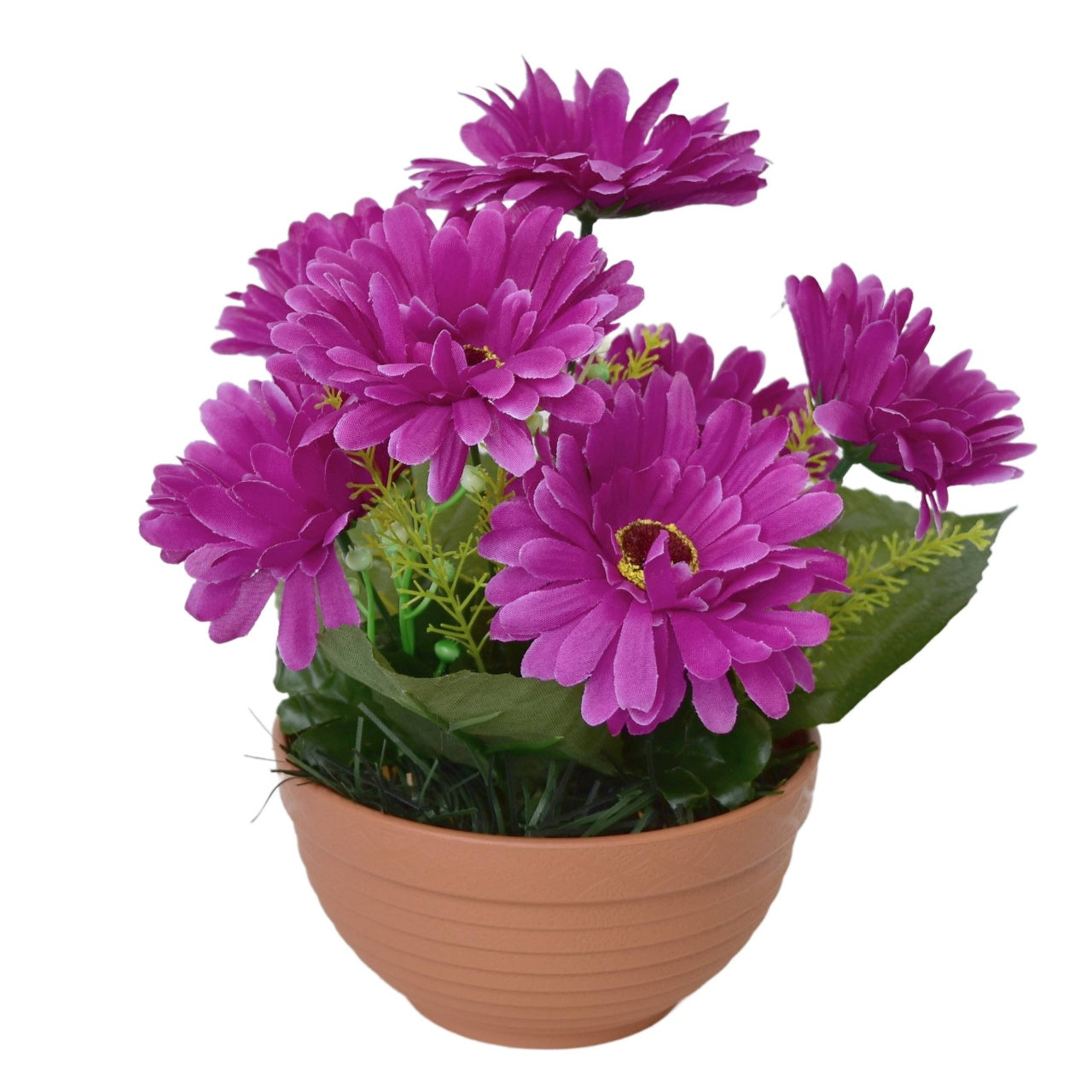 Gerbery fialové 7 květů v terakotové misce Ø22/ 24 cm