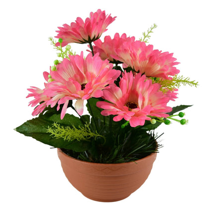 Gerbery růžové 7 květů v terakotové misce Ø22/ 24 cm