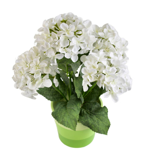 Hortenzie bílá 5 květů v keramickém květináči 33x27 cm