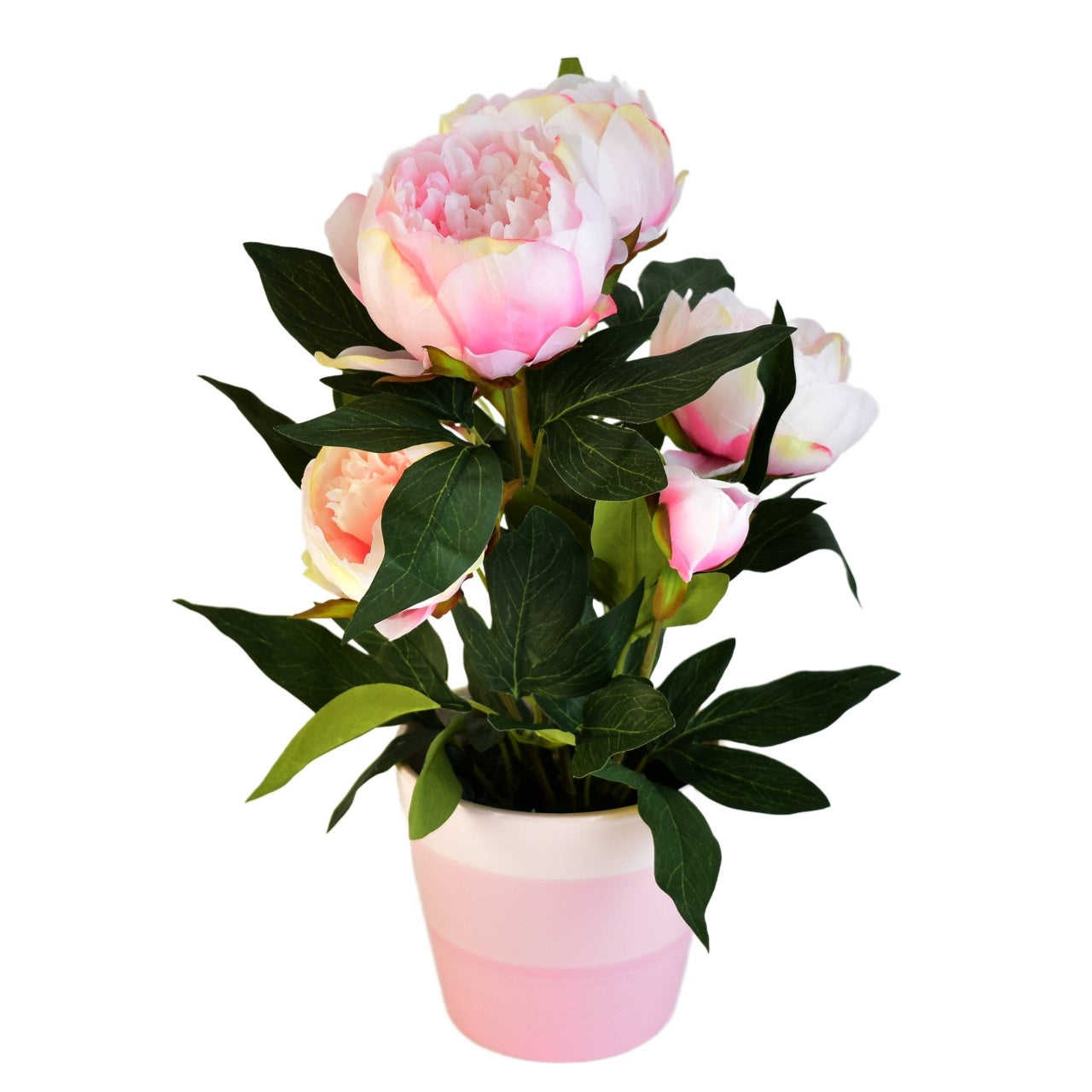 Pivoňka světle růžová v keramickém květináči Ø30/38 cm