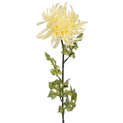 Kytice krémových chryzantém 6 ks, 70 cm