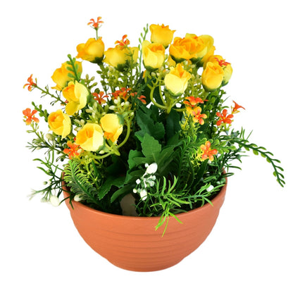 Růžičky žluté v terakotové misce Ø22/ 23 cm