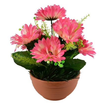 Gerbery růžové 7 květů v terakotové misce Ø22/ 24 cm