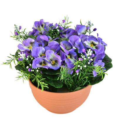 Fialky fialové v terakotové misce Ø20/ 21 cm