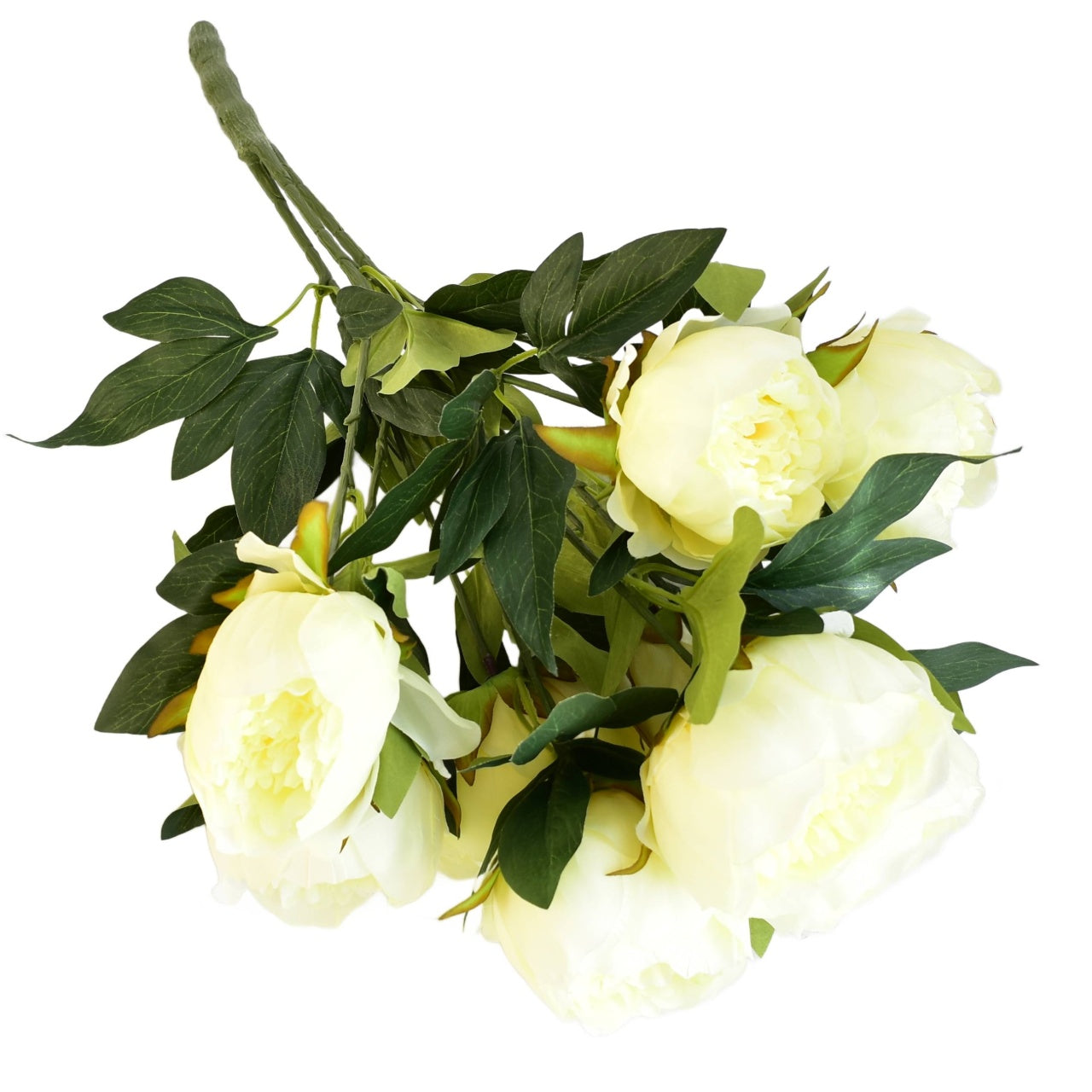 Kytice bílých pivoněk 9 květů/Ø10 cm / 60 cm