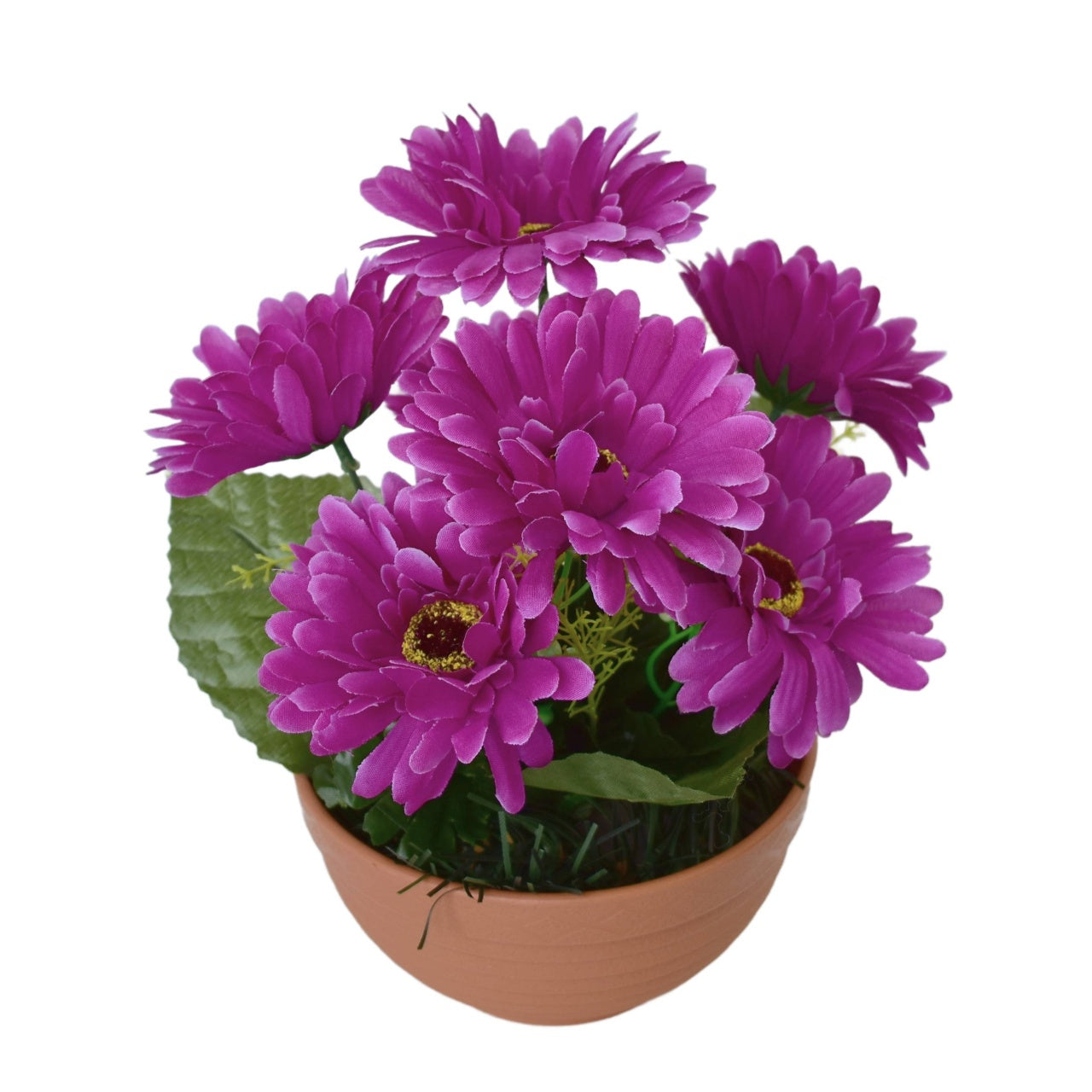 Gerbery fialové 7 květů v terakotové misce Ø22/ 24 cm