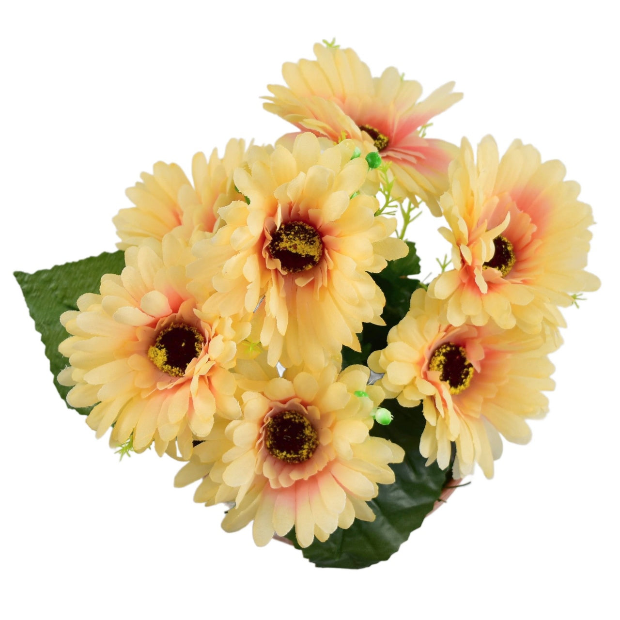 Gerbery světle oranžové 7 květů v terakotové misce Ø22/ 24 cm