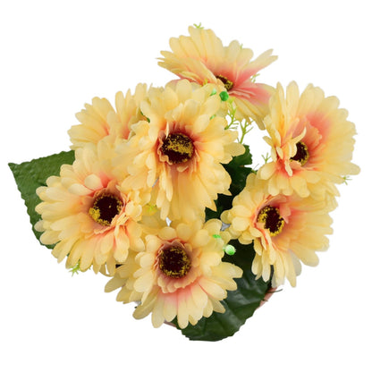 Gerbery světle oranžové 7 květů v terakotové misce Ø22/ 24 cm