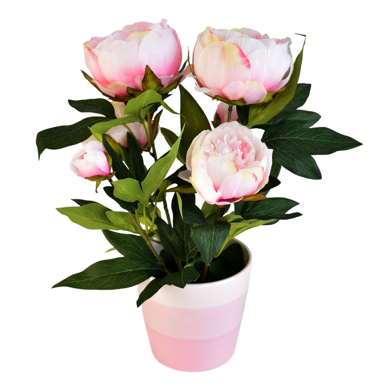 Pivoňka světle růžová v keramickém květináči Ø30/38 cm