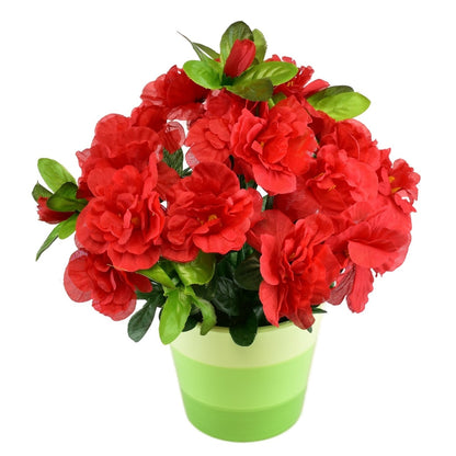 Azalka červená v keramickém květináči 25×25 cm