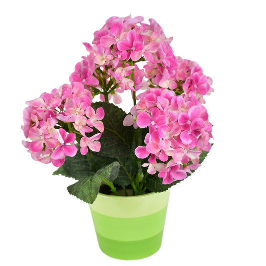 Hortenzie růžová 5 květů v keramickém květináči 33x27 cm