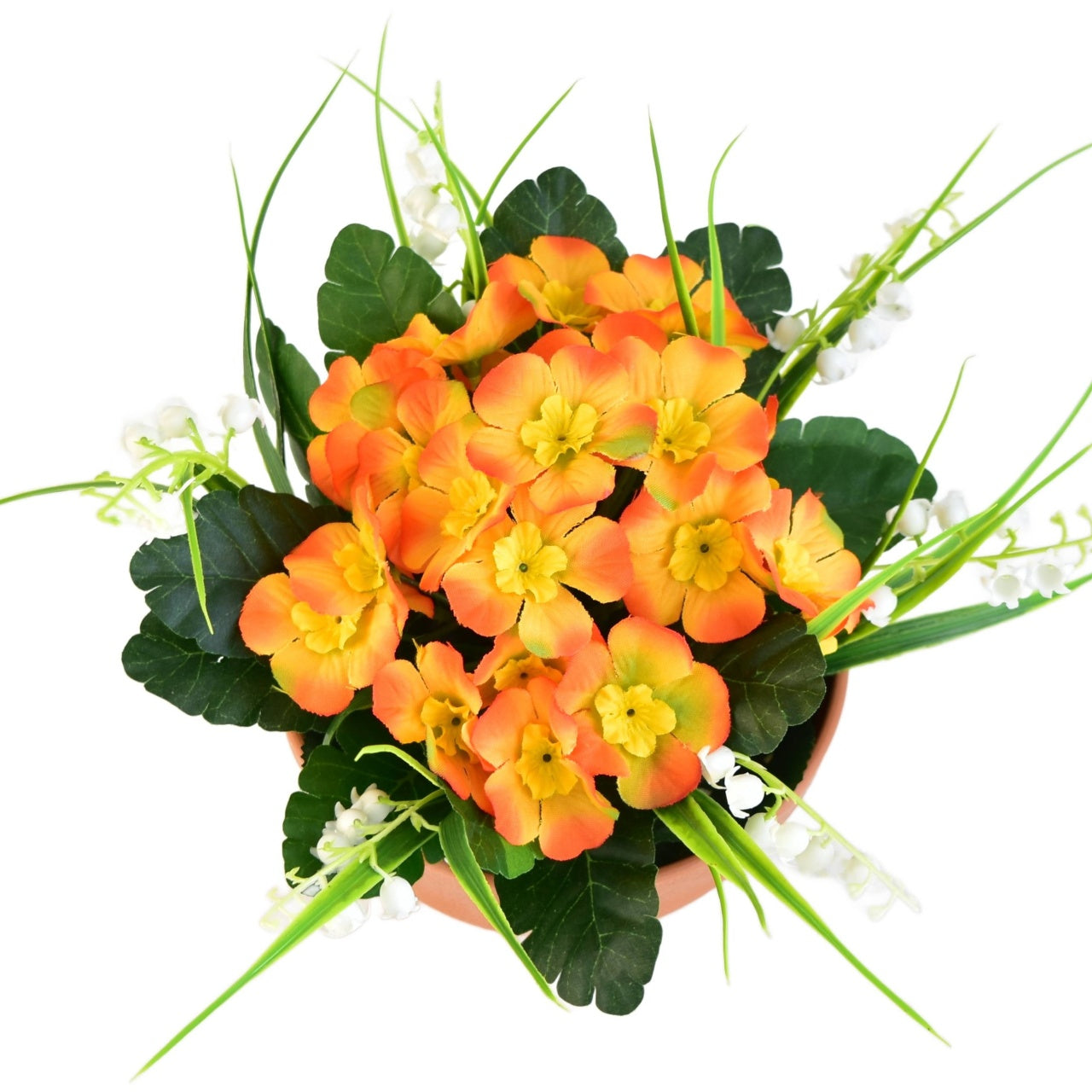 Primulky oranžové v terakotové misce Ø23/ 20 cm