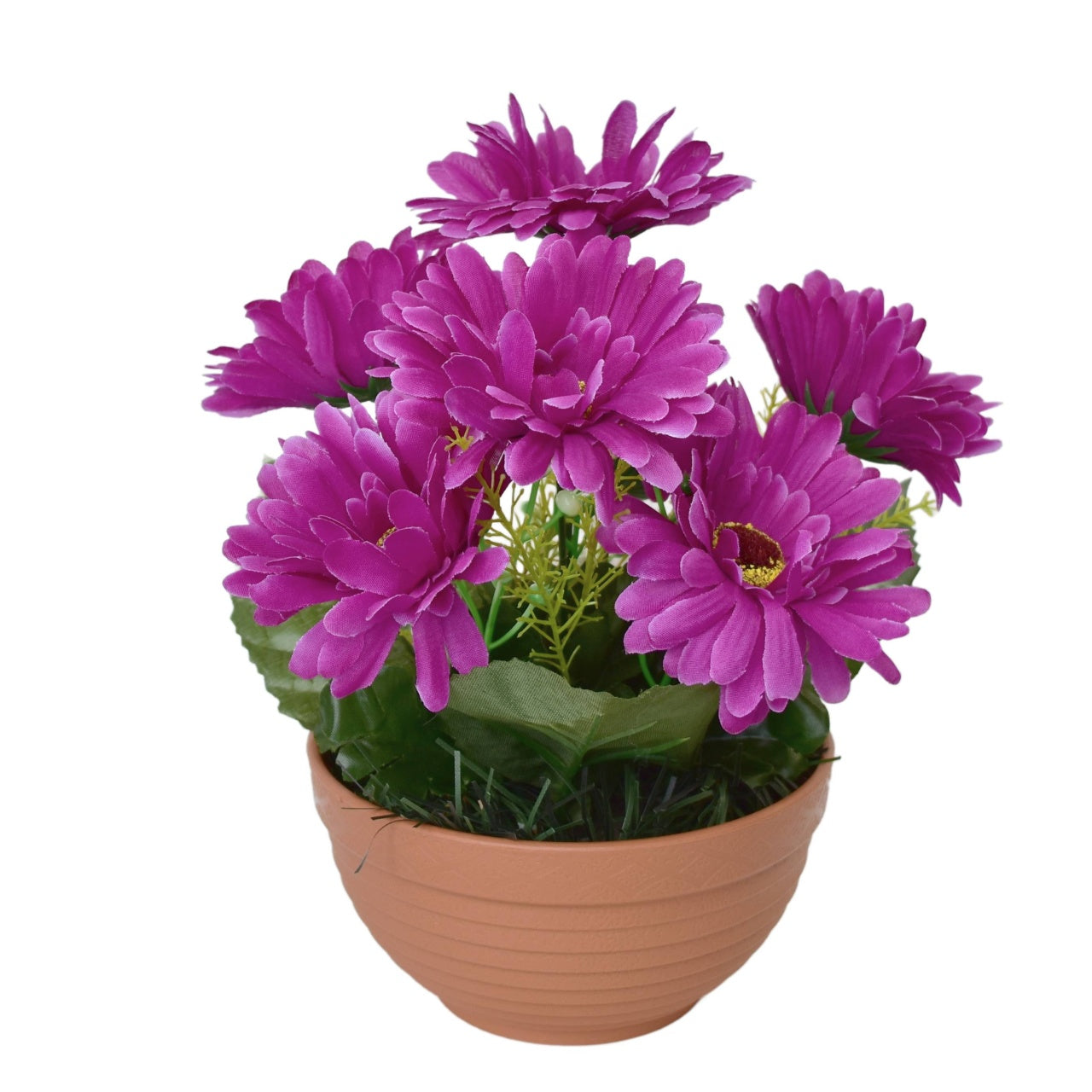 Gerbery fialové 7 květů v terakotové misce Ø22/ 24 cm