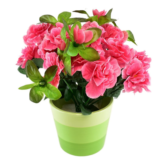 Azalka růžová v keramickém květináči 25×25 cm