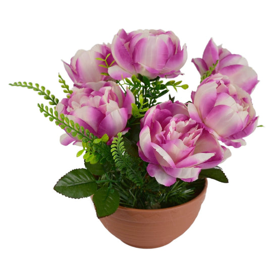 Pivoňky fialové 6 květů v terakotové misce Ø26/26 cm